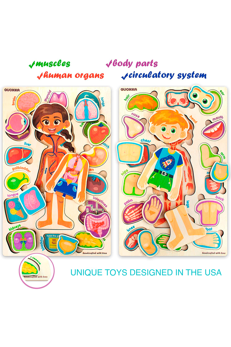 Learning Kids Puzzles Human Anatomy, Alternate, color, Body Parts