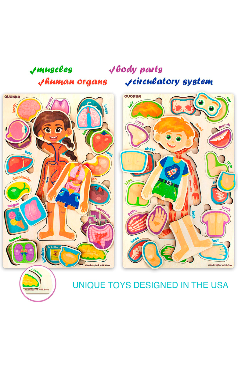 Quokka Human Anatomy Learning Puzzles for Kids, Alternate, color, Body Parts