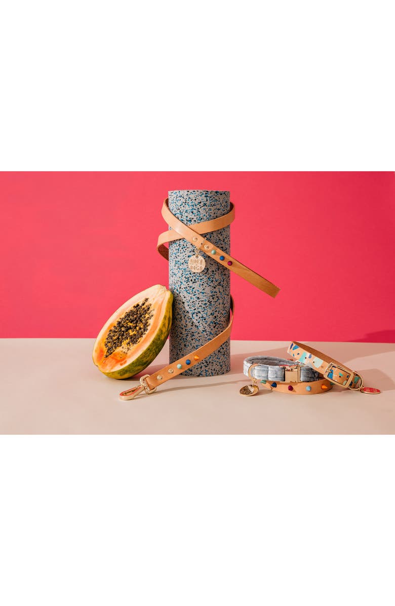 NICE DIGS Confetti Leather Dog Collar, Alternate, color,