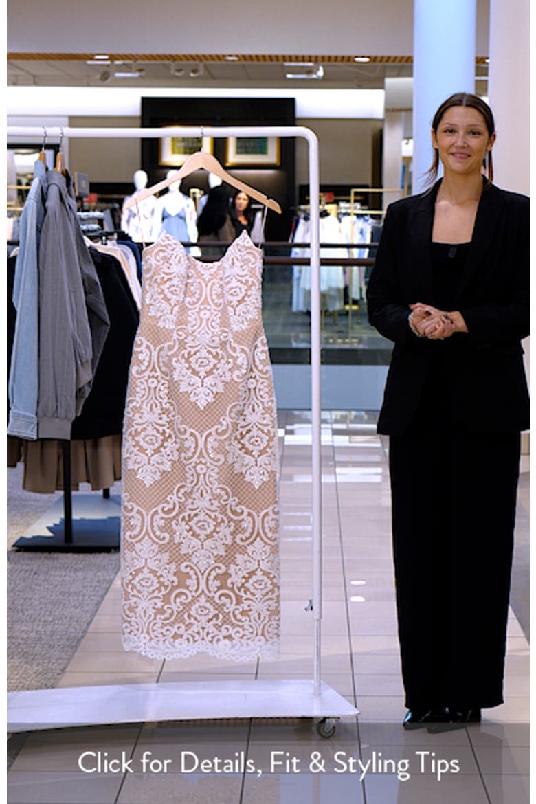 Kendall Beaded Lace & Mesh Column Dress video