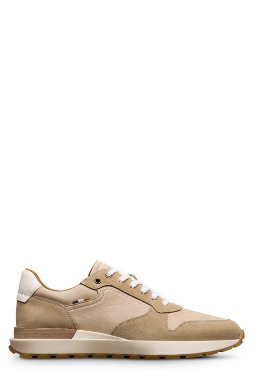 Allen Edmonds Lionel Lace-up Sneaker In Sand