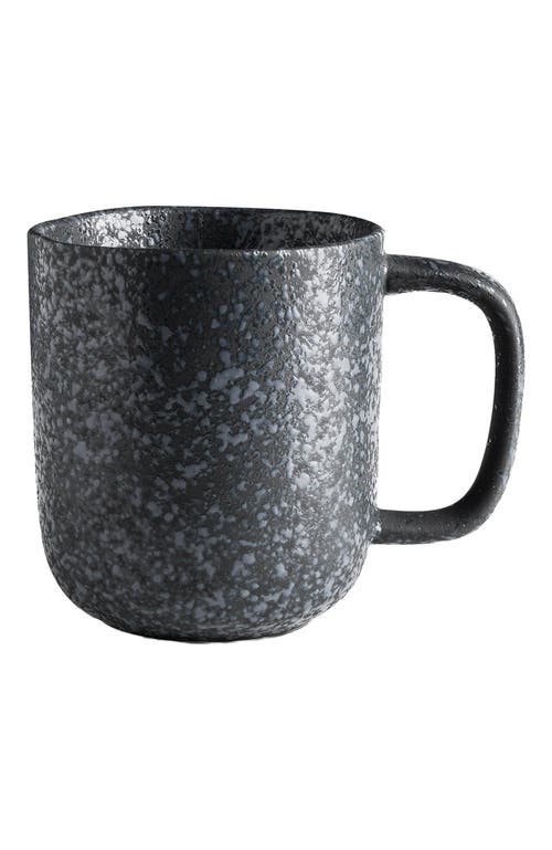 Stone Lain Tom Stoneware 4-piece Mug Set In Black