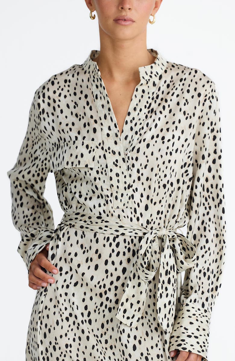 Brave+True Sampson Print Tie Waist Long Sleeve Maxi Dress, Alternate, color, Ocelot