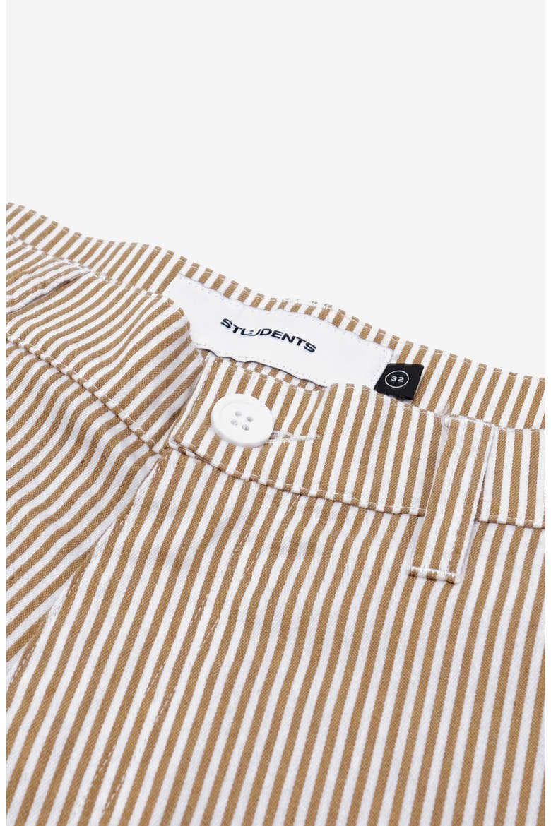 Speer Stripe Track Pants, Alternate, color, BROWN