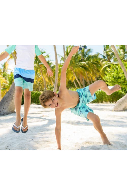 Snapper Rock Little Boy's & Boy's Compass Board Shorts In Green