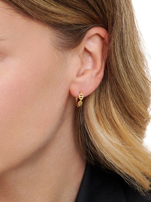 Devata Mariner Anchor Hoop Earrings In Gold
