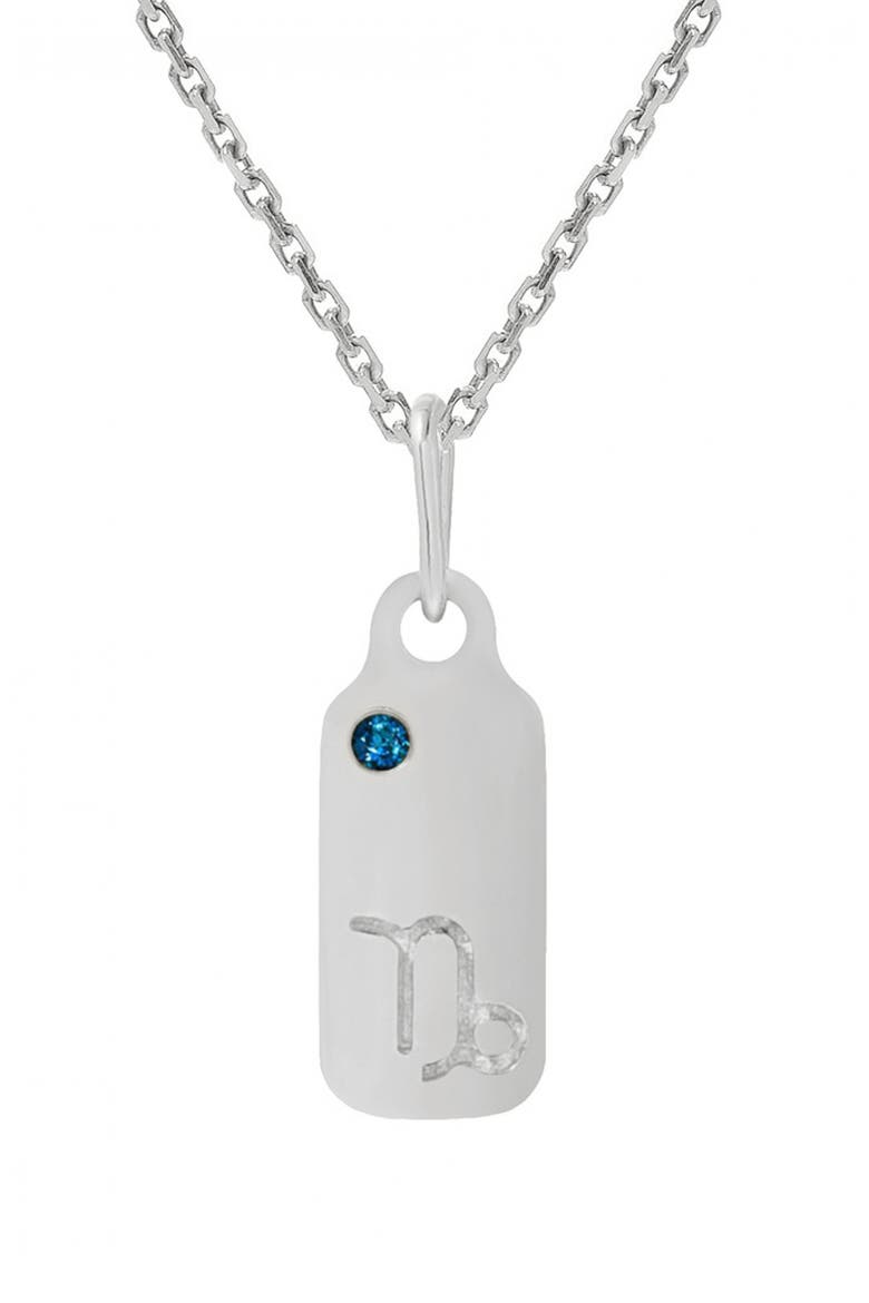 Zodiac Dog Tag Necklace, Main, color, BLUE TOPAZ / CAPRICORN