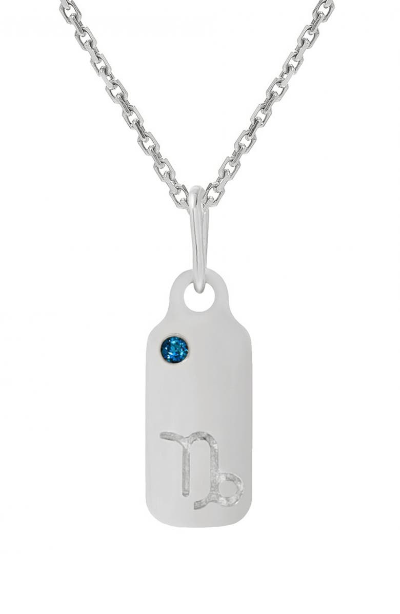 Mini Mini Jewels Zodiac Dog Tag Necklace, Main, color, 