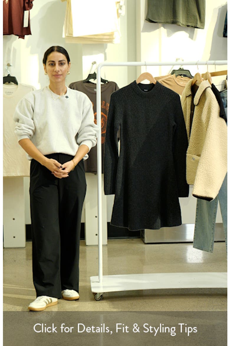 Traveling Long Sleeve Wool & Cashmere Rib Dress video