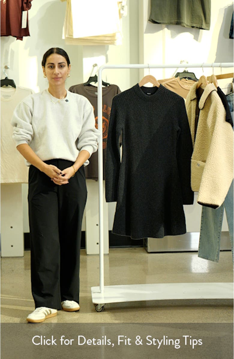 Traveling Long Sleeve Wool & Cashmere Rib Dress, sales video thumbnail