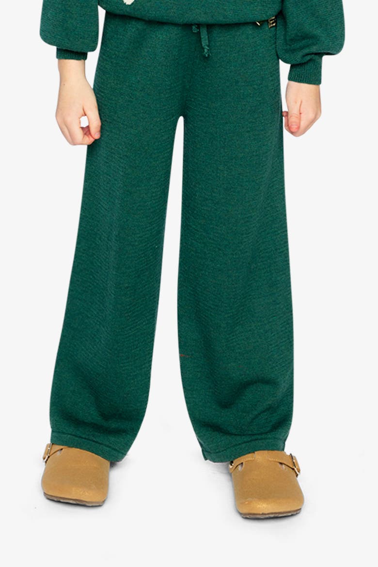 Knitted Drawstring Waist Wide Leg Flare Pants, Alternate, color, Jasper Printed Green