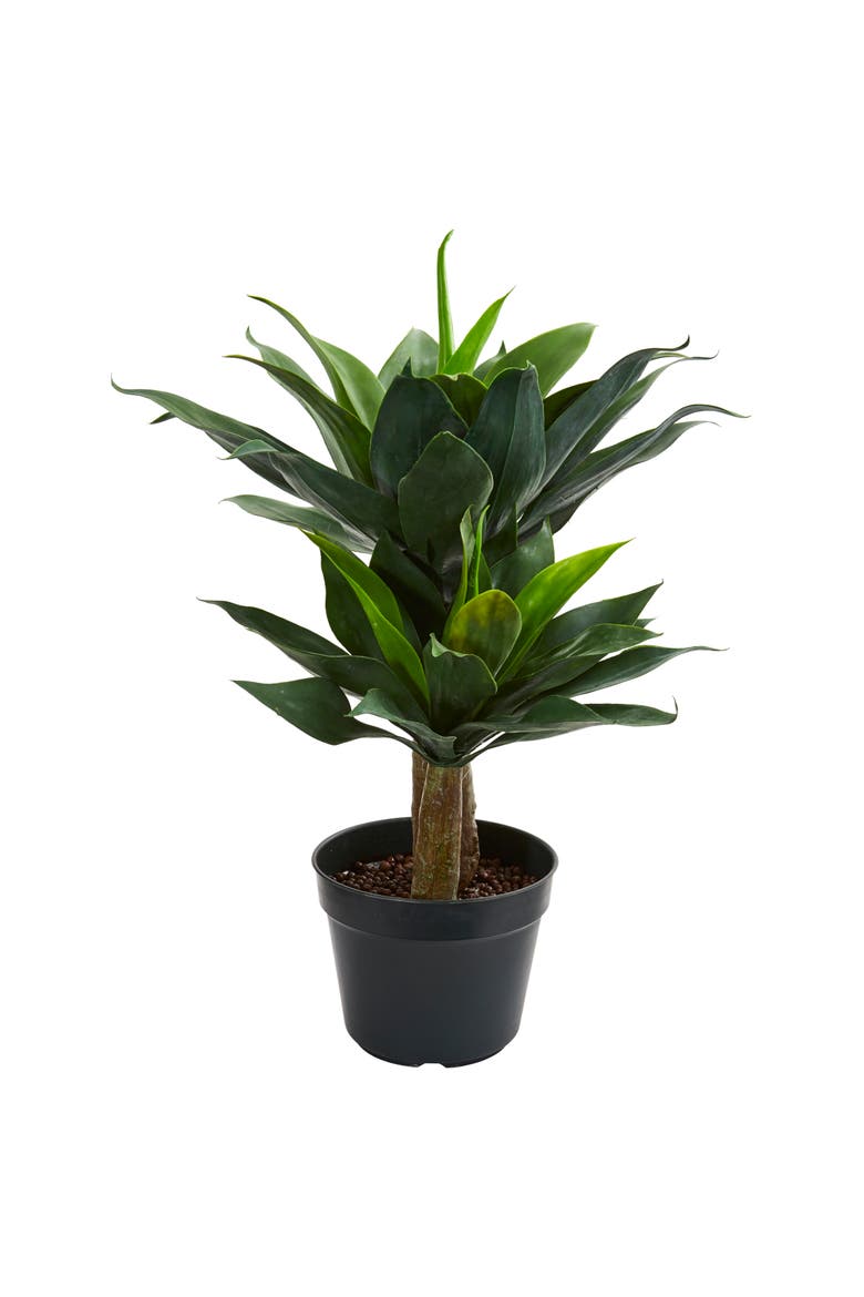 29-in Double Agave Succulent Artificial Plant, Main, color, Green