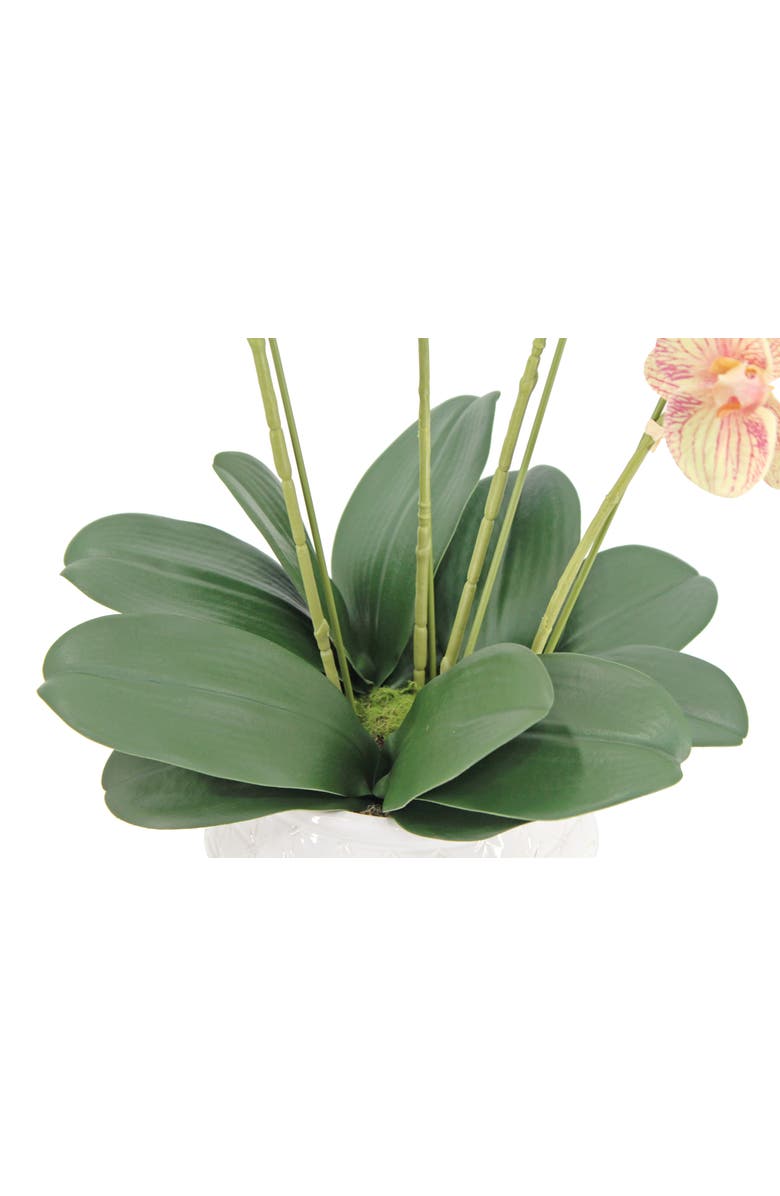 CG Hunter Artificial 4-Stem Phalaenopsis Orange Orchid, Alternate, color, Orange