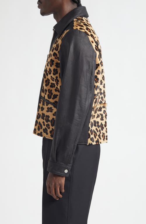 Second / Layer Second Layer Phreak Genuine Calf Hair & Leather Jacket In Multi