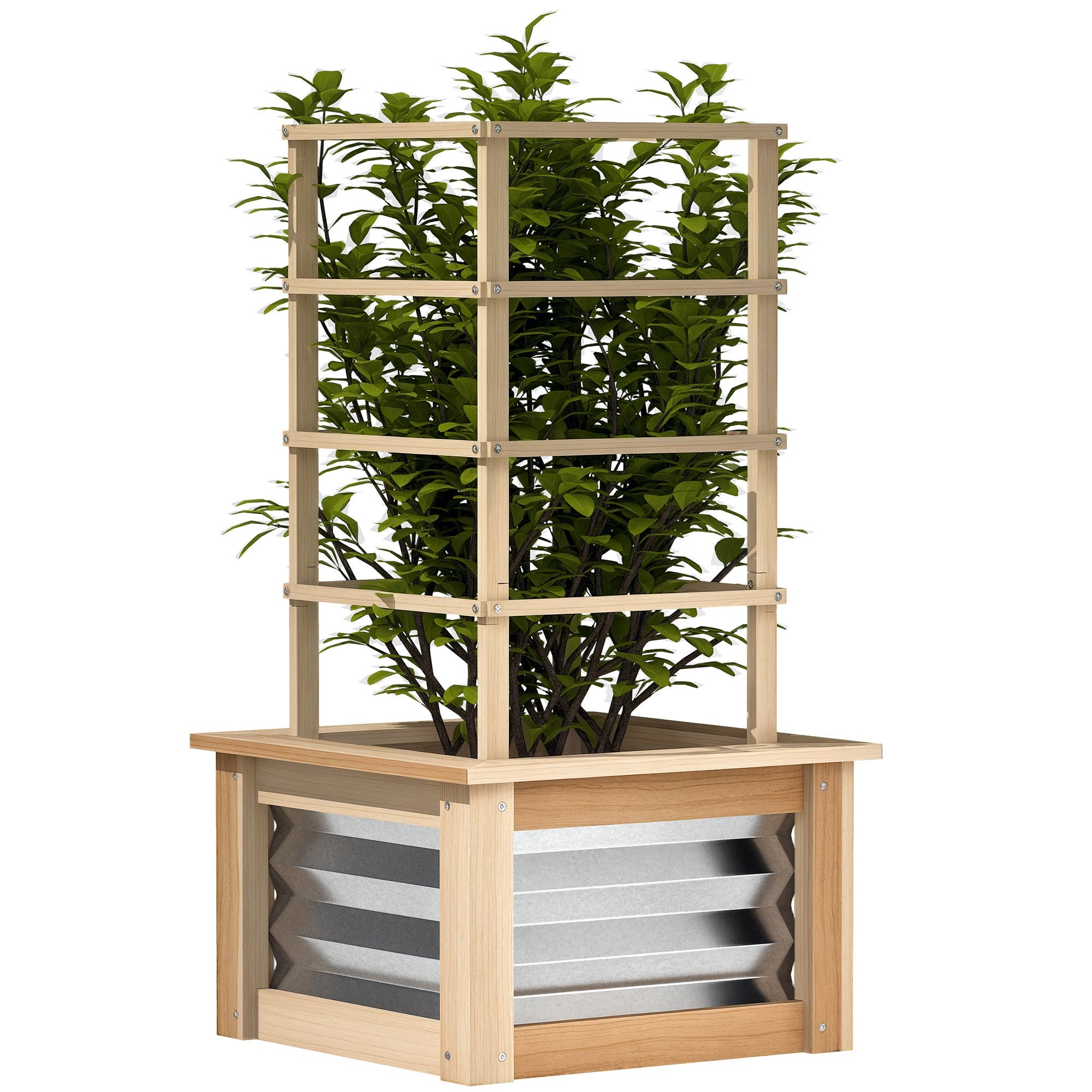 Natural Wood