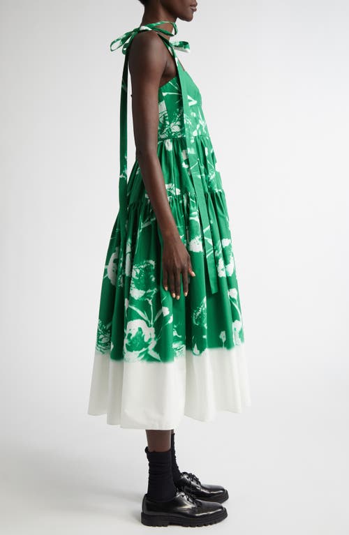 Shop Erdem Floral Print Cotton Poplin Fit & Flare Midi Dress In Carnation Cyanotype Clover