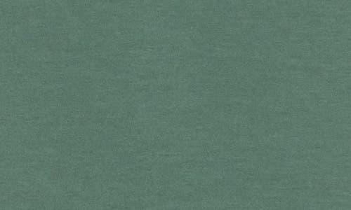 Nordstrom V-neck Pima Cotton T-shirt In Green Duck
