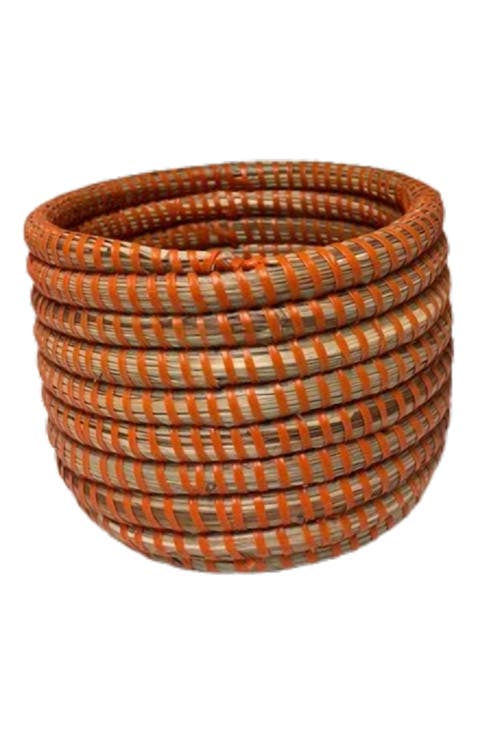 Succulent Basket Planter Success