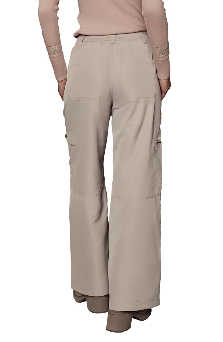 Alp N Rock Chalet Water Repellent Insulated Cargo Pants, Alternate, color, Stone