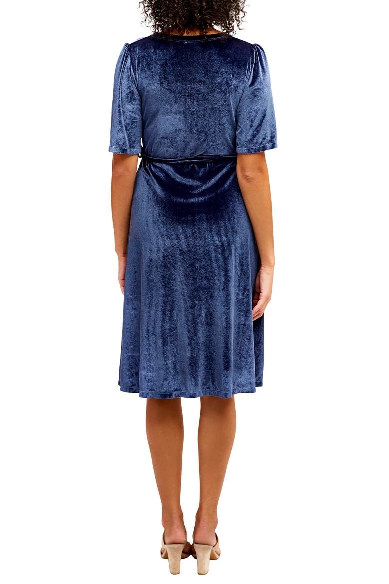 Genevieve Velvet Maternity/Nursing Dress, Alternate, color, SLATE