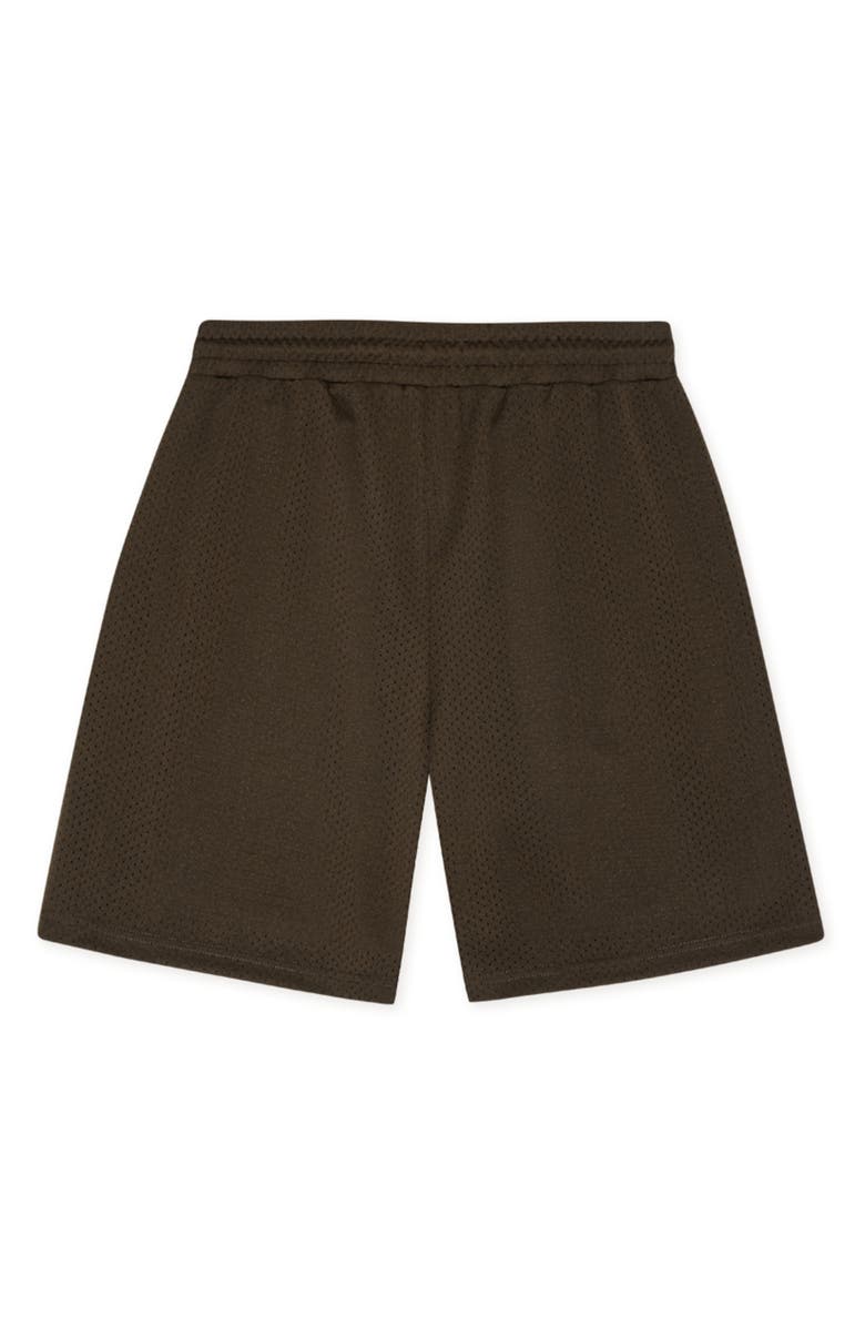 Les Deux Shawn Mesh Shorts, Alternate, color, Turkish Coffee Brown