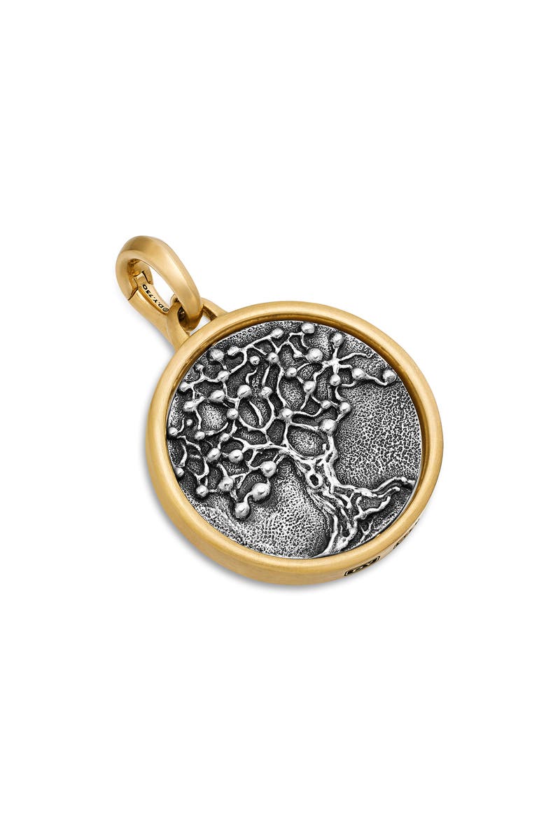 Life & Death Duality Amulet in Sterling Silver with 18K Yellow Gold, Alternate, color, STERLING SILVER WITH 18K GOLD