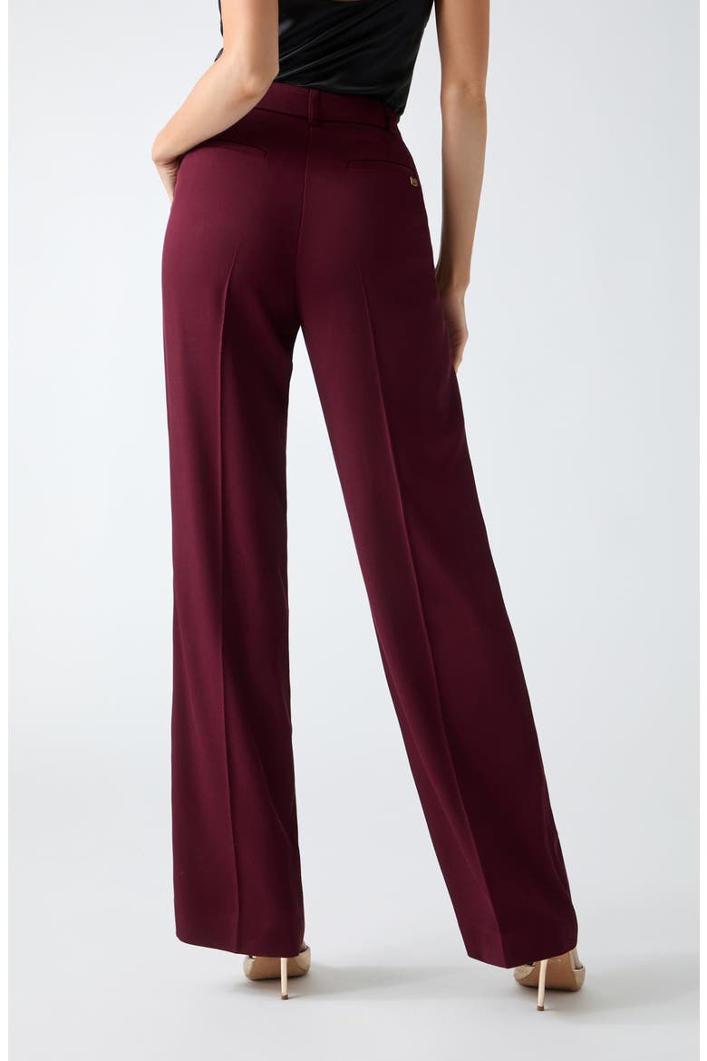 Abby Pleated Straight Leg Pants, Alternate, color, BURGUNDY
