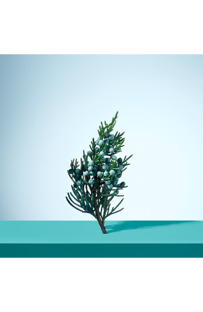 Tiffany & Co. Tiffany & Love Eau de Toilette for Him, Alternate, color,