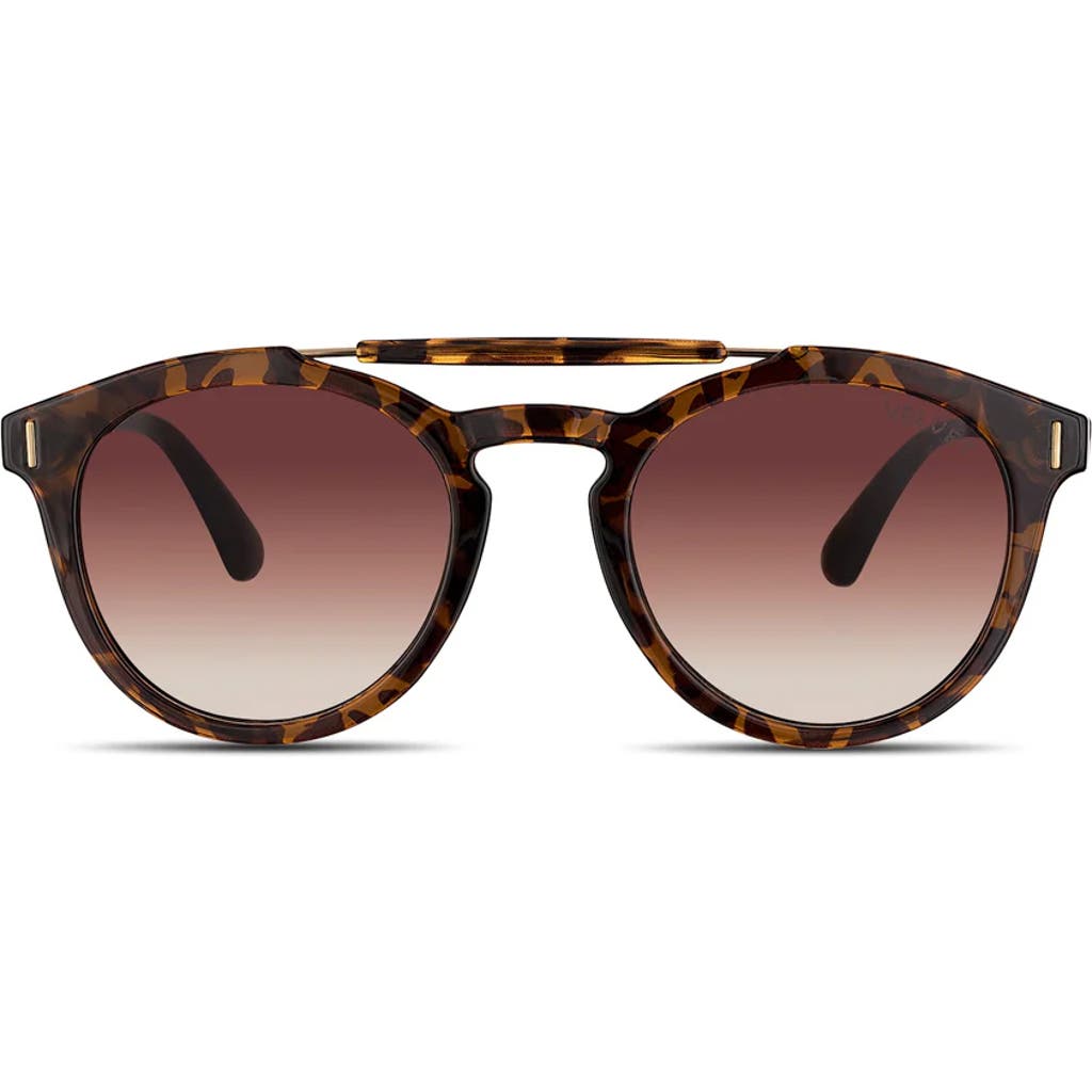 Velvet Eyewear Amelia Sunglasses in Tortoise  product