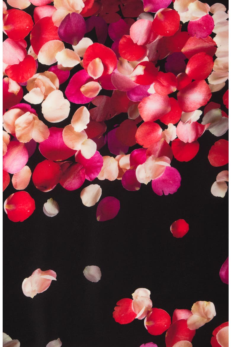 Alexander McQueen Petal Floral Silk Scarf, Alternate, color, BLACK PINK