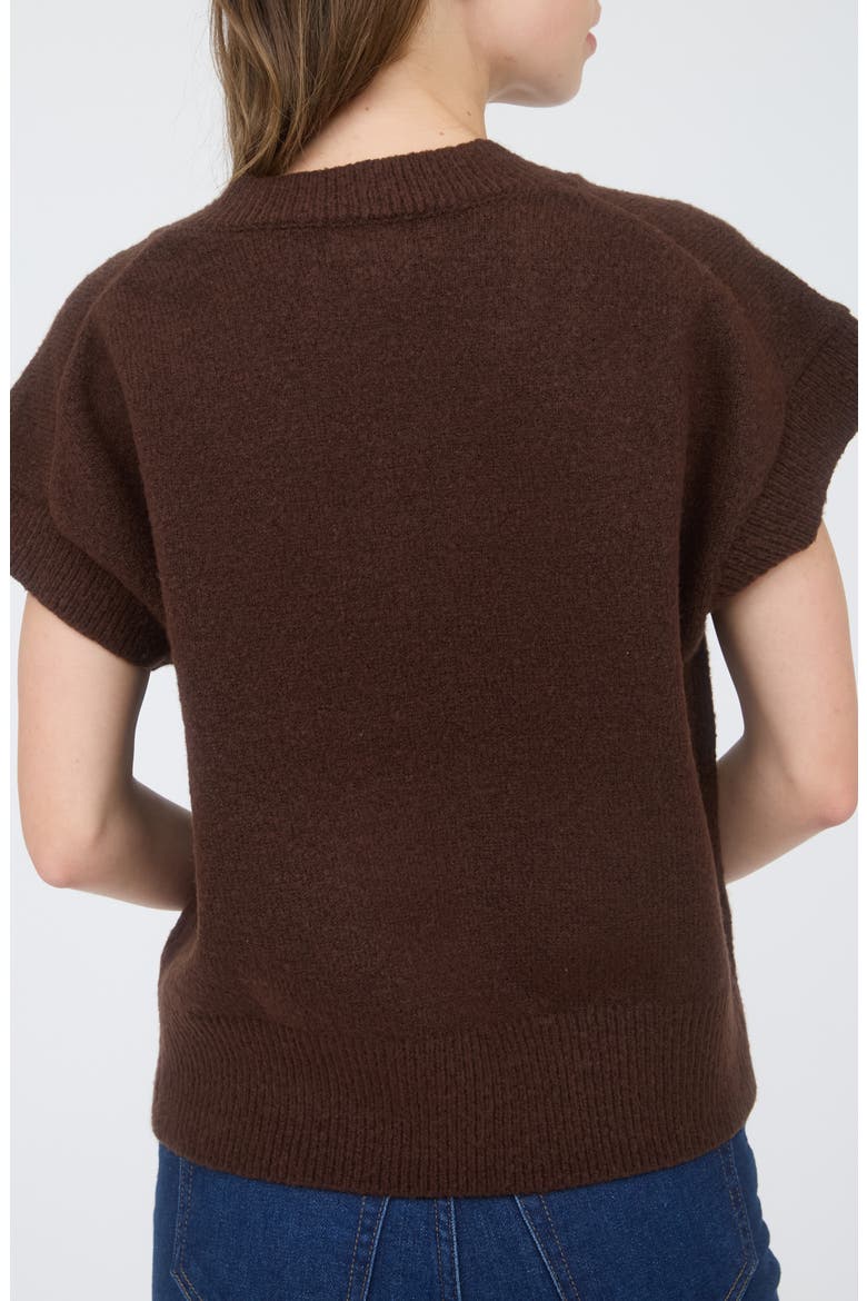V-Neck Sweater Vest, Alternate, color, BROWN