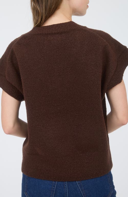 Blu Pepper V-neck Sweater Vest In Brown