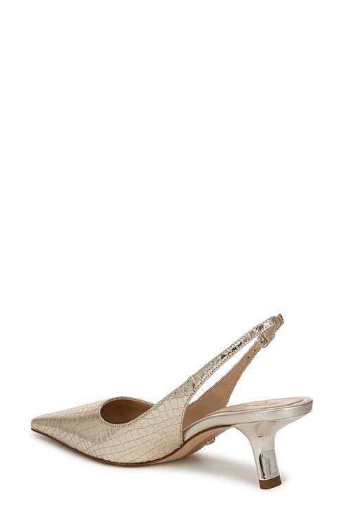 Sam Edelman Bianka Slingback Pump In Brown