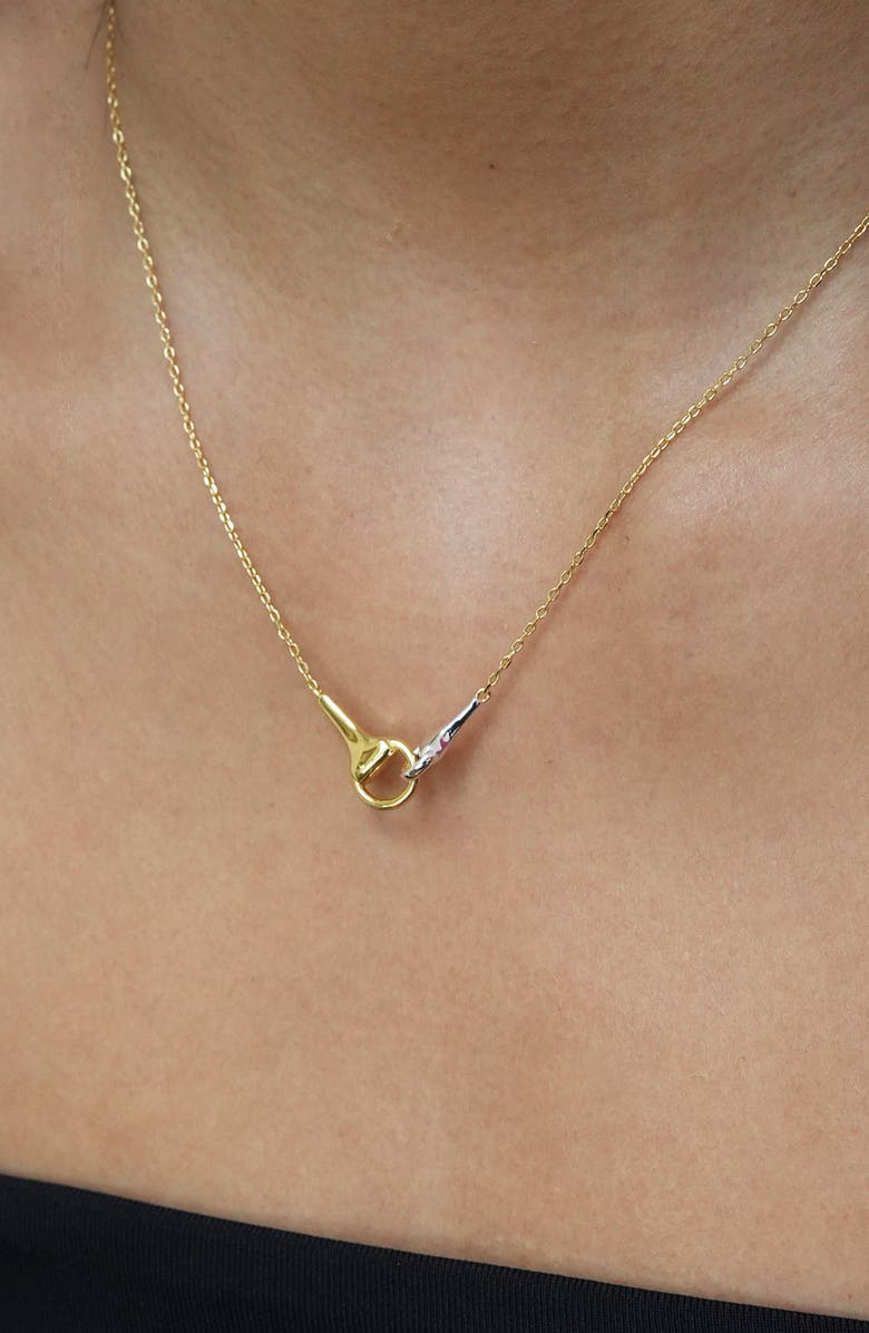Argento Vivo Sterling Silver Two-Tone Equestrian Interlock Necklace, Alternate, color, Gold/ Silver