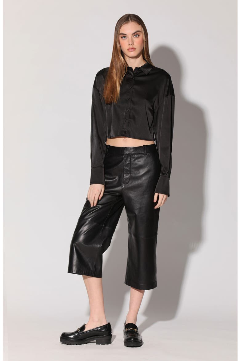 Montana Button-Up Shirt, Alternate, color, BLACK