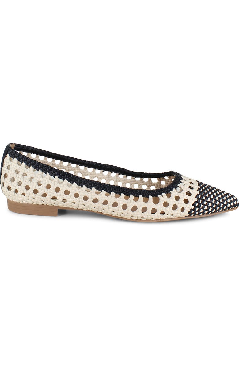 Splendid Nelly Pointed Toe Flat, Alternate, color,