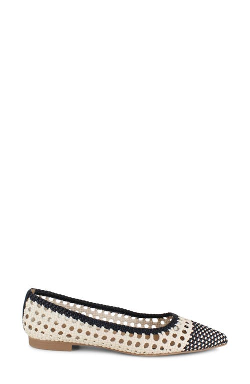 Splendid Nelly Pointed Toe Flat In Black/oat