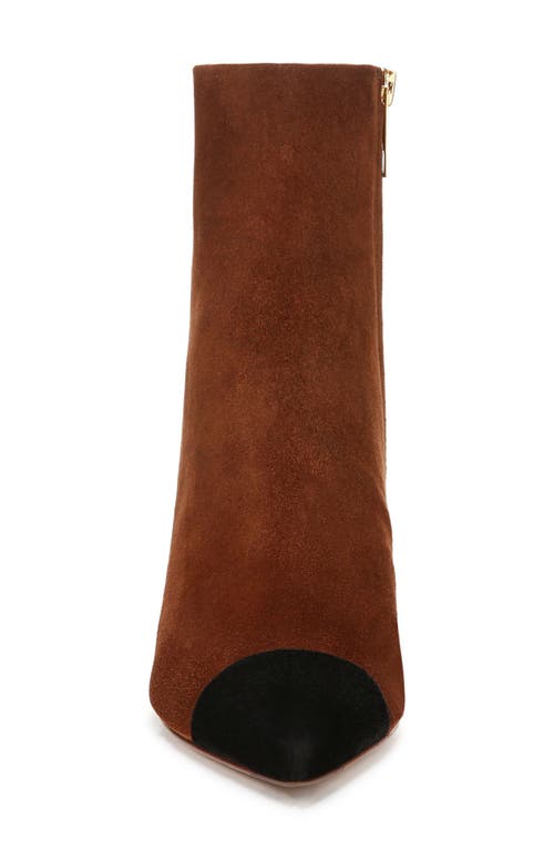 Veronica Beard Lisa Cap Toe Bootie In Cedar/black