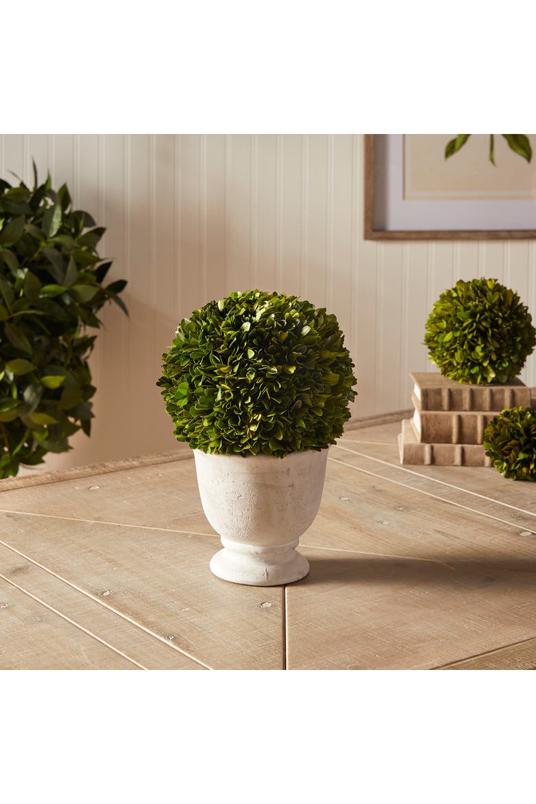 Boxwood Ball Topiary In Pot Large, Alternate, color, Green