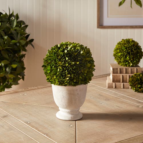 Napa Home & Garden Boxwood Ball Topiary In Pot Large In Multi