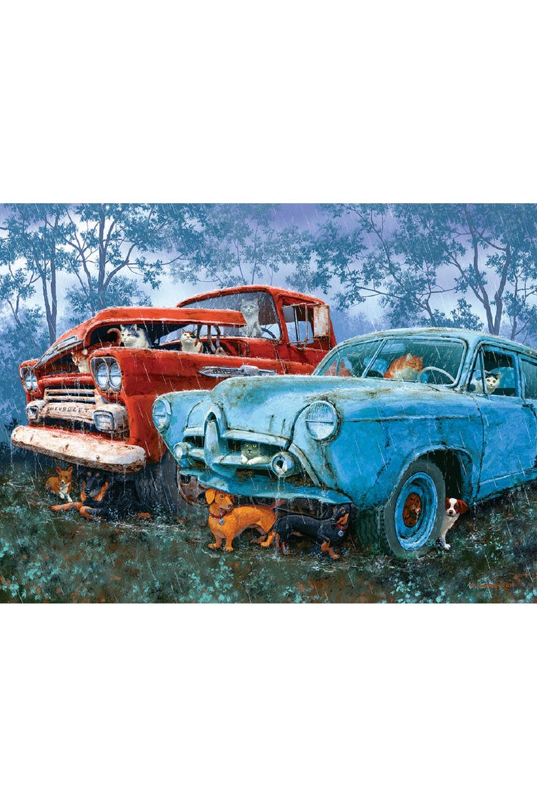 Raining Cats and Dogs 1000 piece Jigsaw Puzzle for Adults, Alternate, color, Multicolor