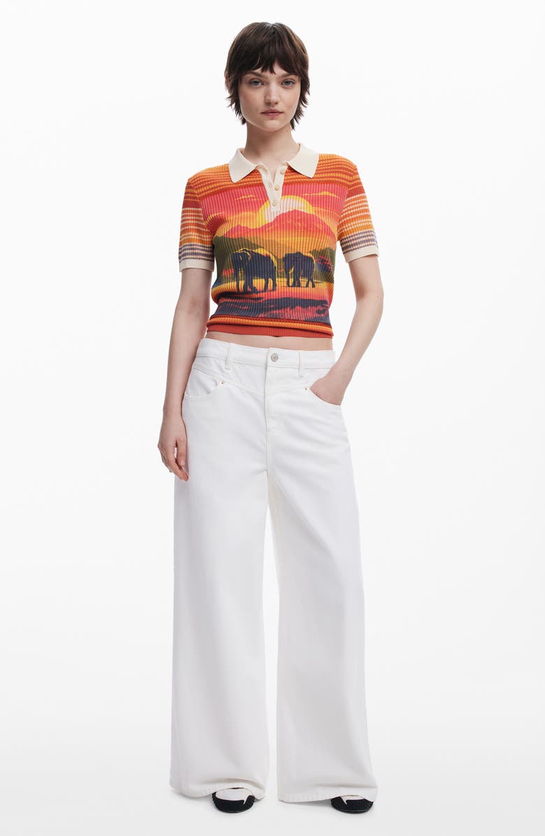Desigual Stripe Scenic Rib Graphic Polo, Alternate, color, 
