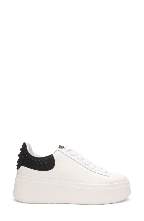 Ash Moby White And Black Sneaker In White/black