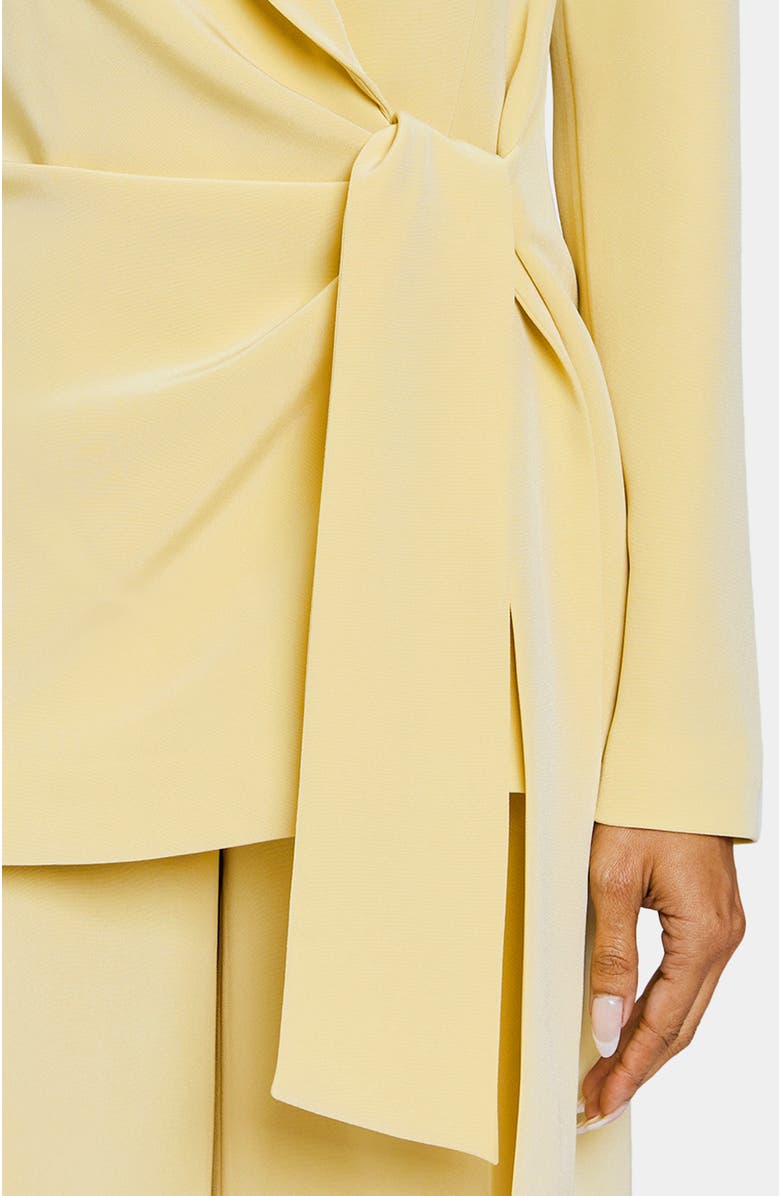 Santorelli LAVERNE Wrap Jacket, Alternate, color,