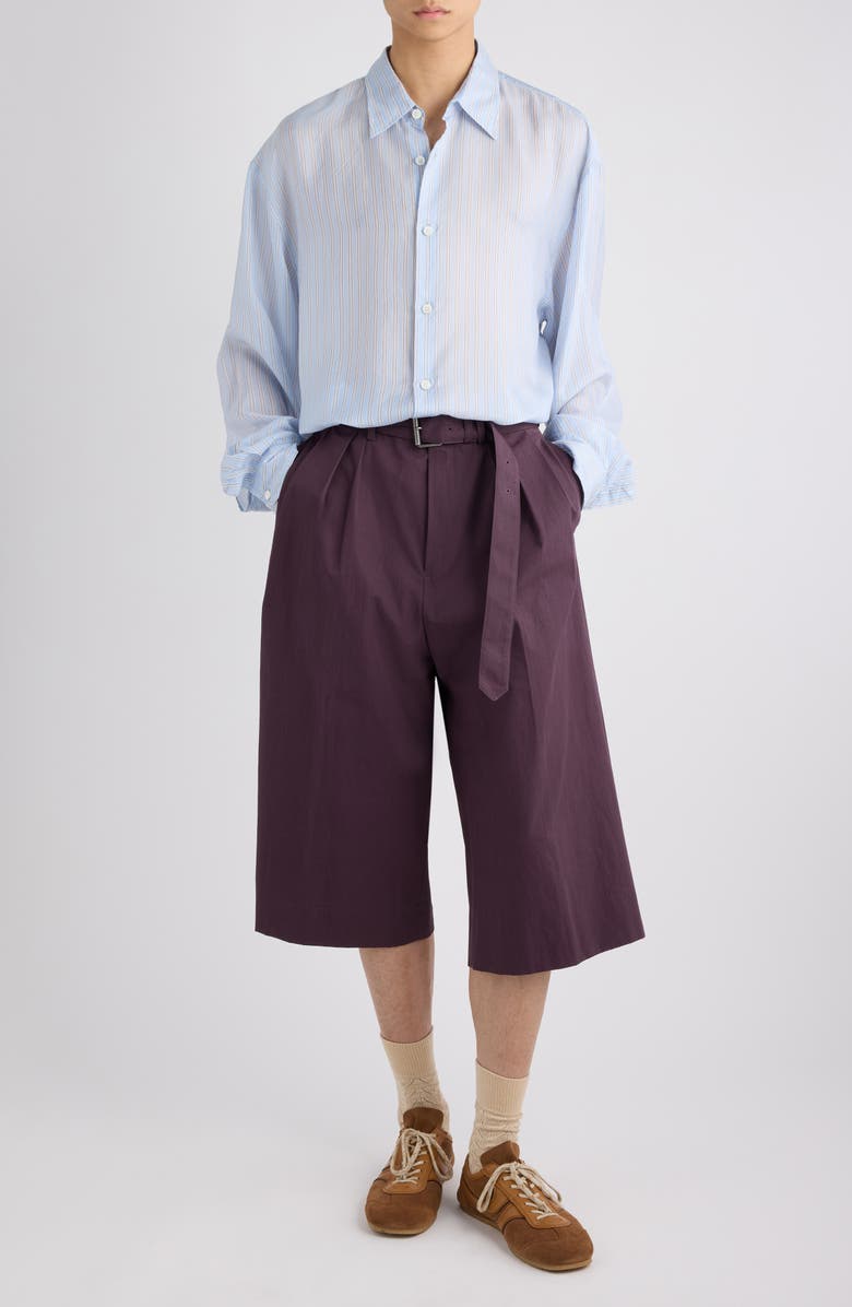 Dries Van Noten Croom Stripe Cupro Button-Up Shirt, Alternate, color, Light Blue