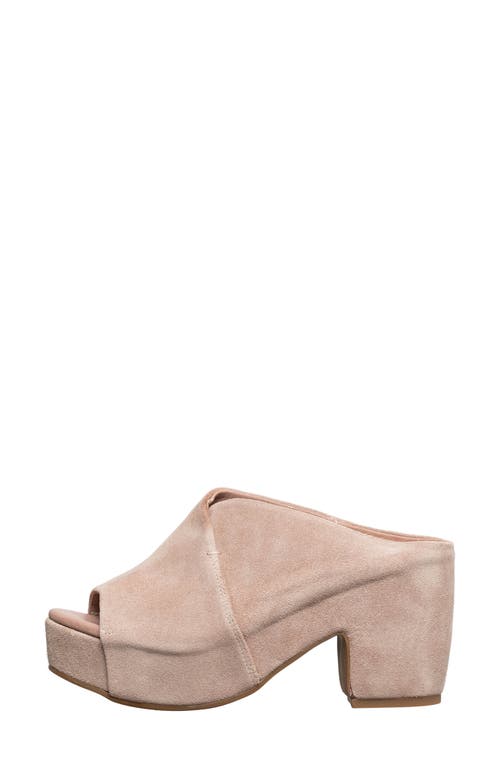 Antelope Taja Slide Sandal In Blush