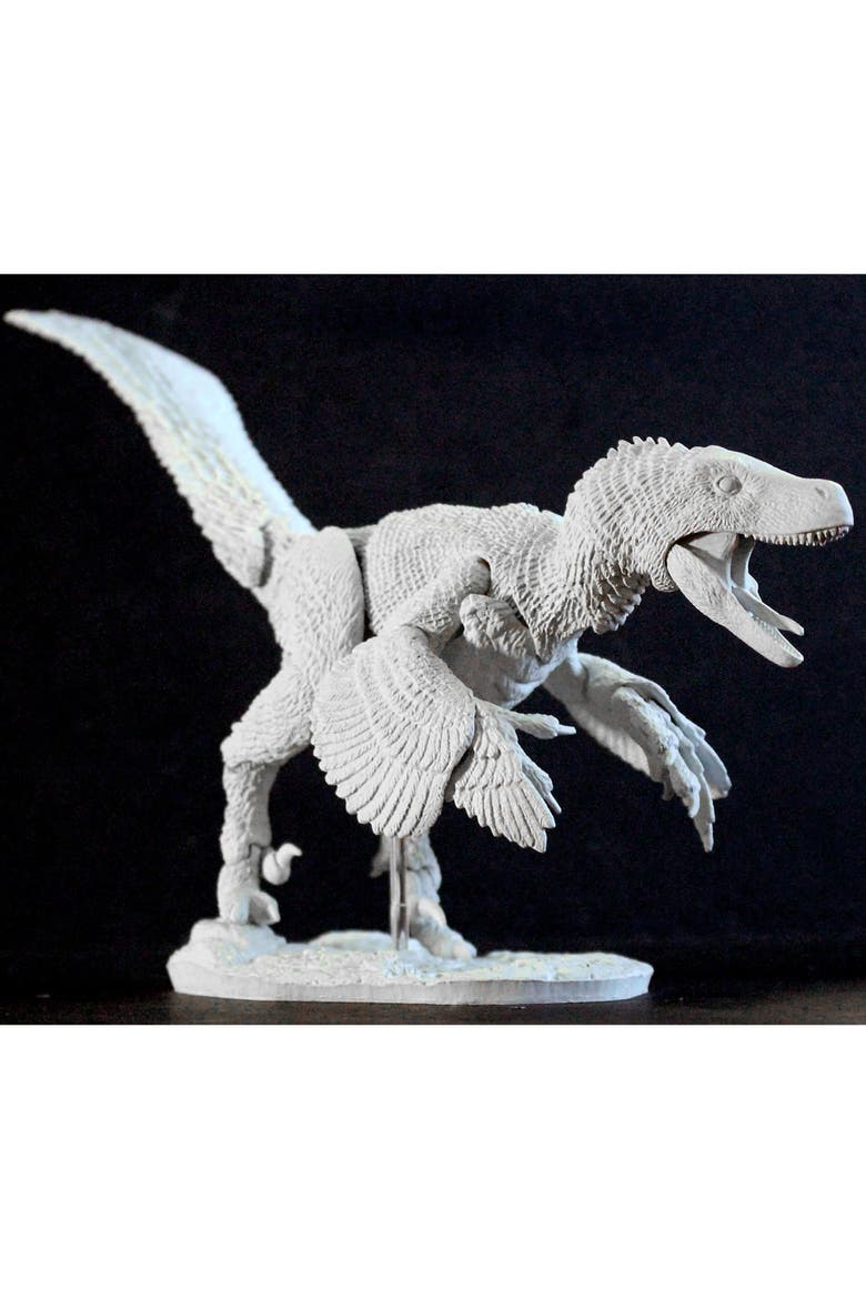 Build A Raptor Set B, Atrociraptor, Alternate, color, Multicolored