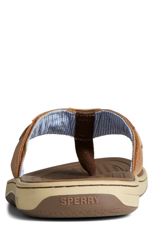 Sperry Baitfish Flip Flop In Brown