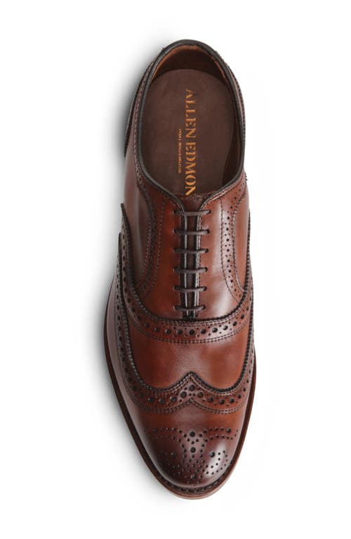 Allen Edmonds Mcallister Wingtip In Multi