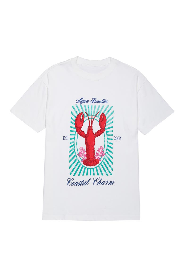 Jhoselyn Alina Cover-Up T-Shirt, Alternate, color, MULTICOLOR